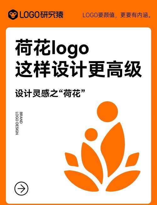 荷花网阅读转发赚