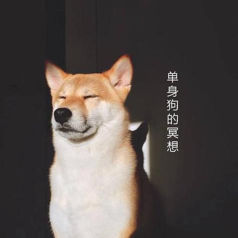 解救单身狗红包版