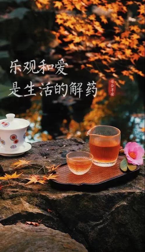 积极享是什么意思