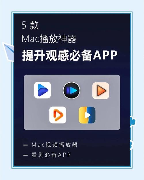 电视剧绝杀全集播放游戏截图