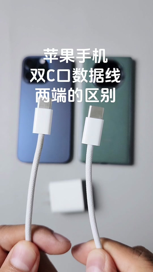 苹果手机充电线都是一样的吗游戏截图