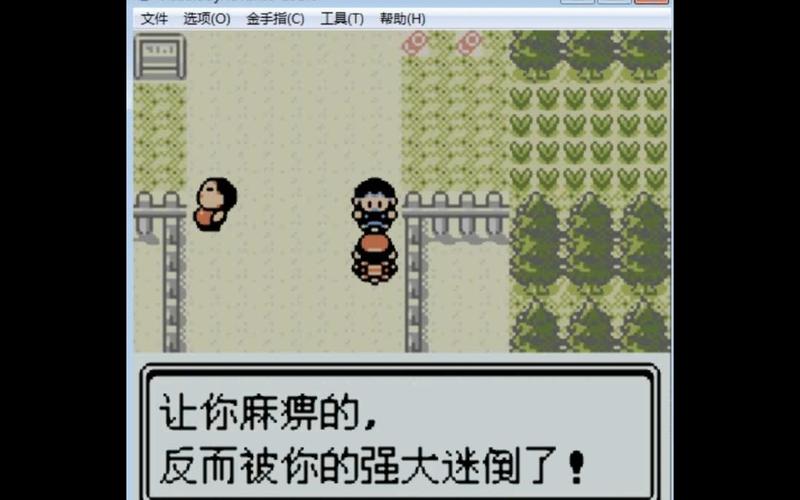 口袋妖怪金银改版图标