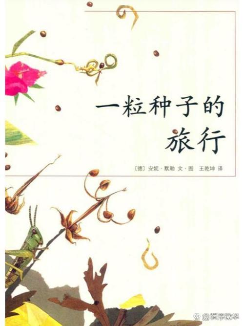 一粒种子的旅行推荐理由
