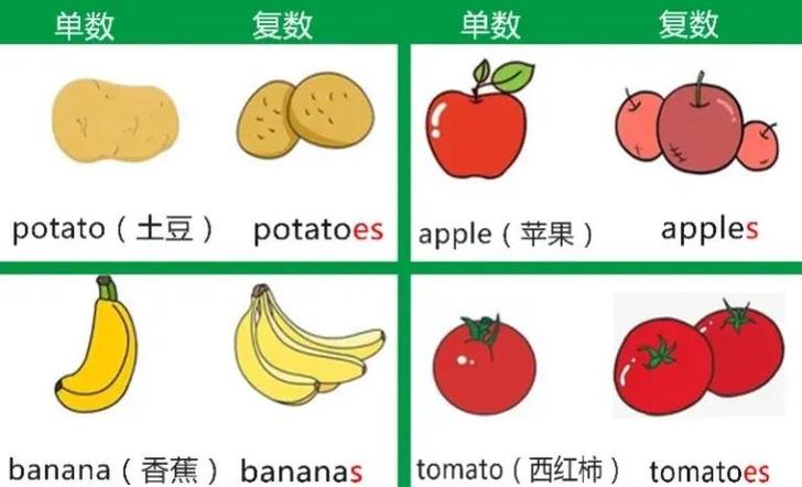 橘子英文复数