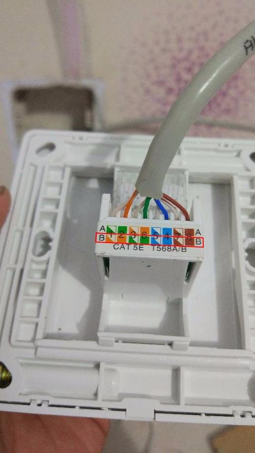网线插座安装方法