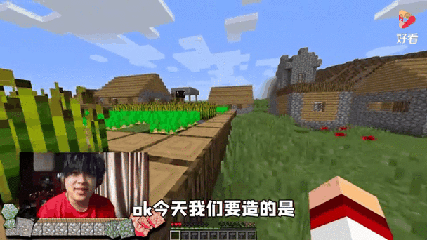我的世界有点害羞的视频游戏截图