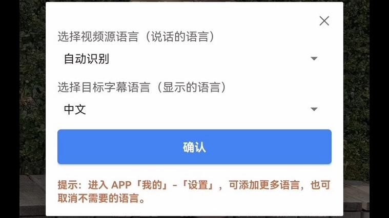 视频自动翻译生成字幕app免费游戏截图