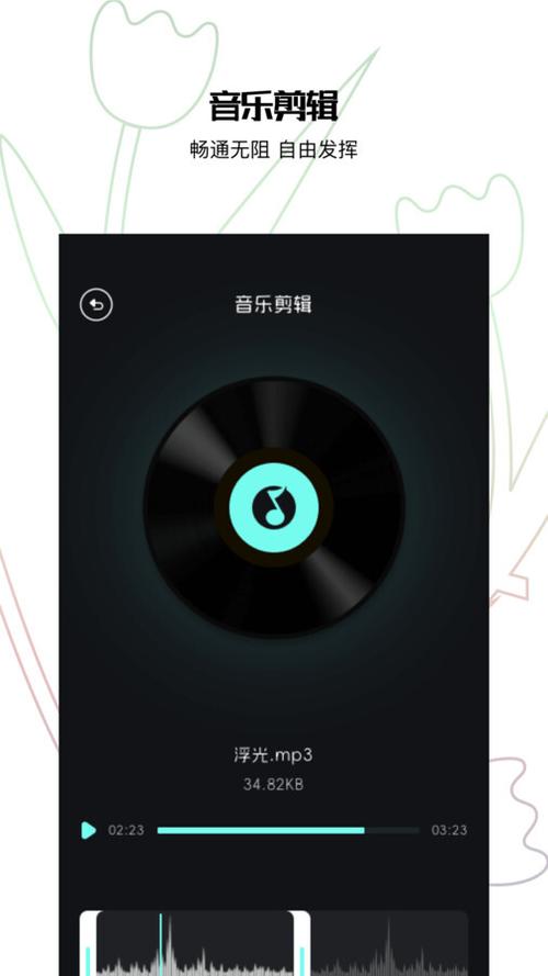 手机网易云不显示歌词的解决方法游戏截图