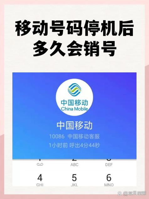 手机号停机了多久会被注销游戏截图