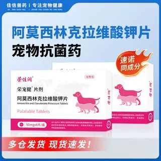 狗狗消炎药有哪些比较好游戏截图