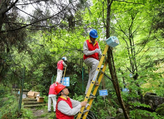 电瓶车充电器一直显示绿色