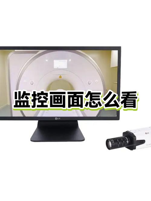 监控看不了录像回放是怎么回事图标