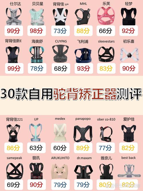 马鞍子王马背上现场固定的