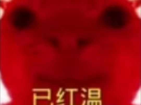 鼠鼠红温表情包