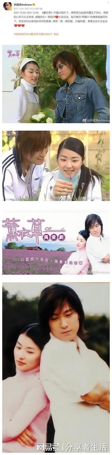 薰衣草电视剧网盘游戏截图