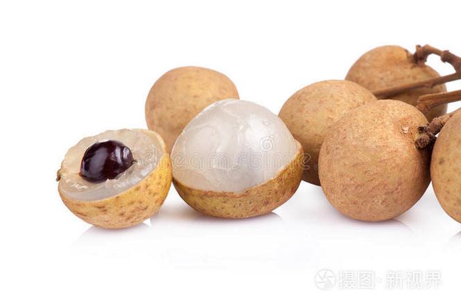 《桂圆子》可怕挑战全