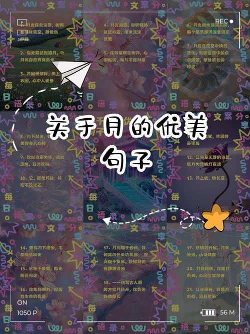 蜜月期比喻什么