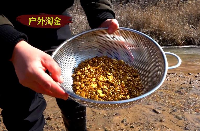 淘金宝是干什么的