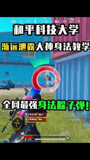 和平精英技巧视频教学大全游戏截图