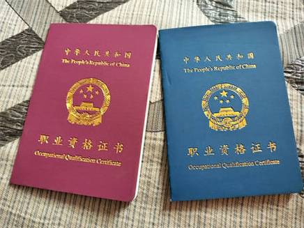 电子版电工证在哪下载