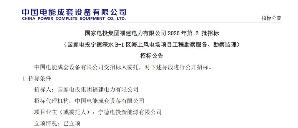 中国电能招投标网官网游戏截图