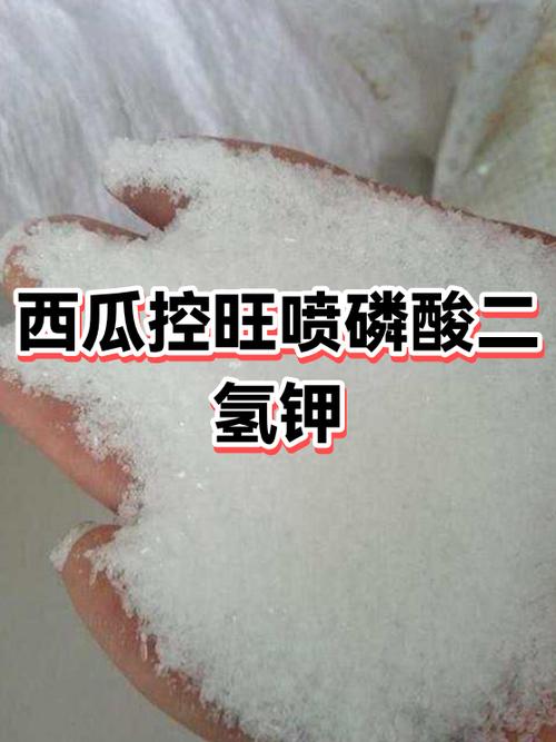 最好的西瓜肥料第一名
