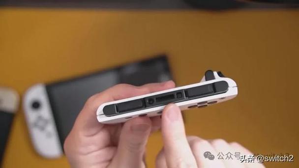 switch看油管游戏截图