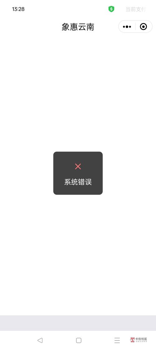 刷宝为什么系统错误