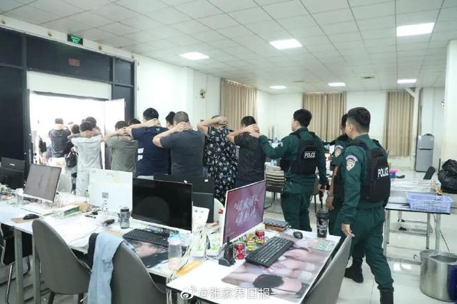 柬埔寨清除电诈园区最新消息图标