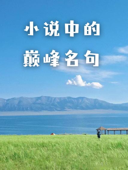 小说中的巅峰名句语录图标