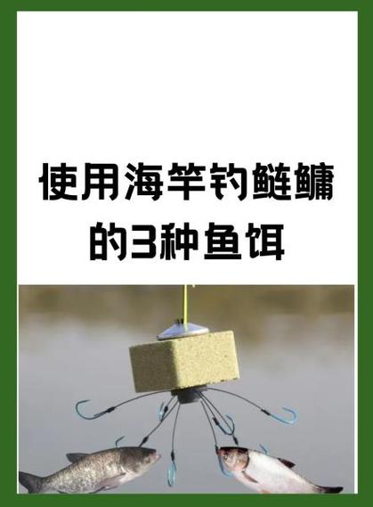 鱼饵语音