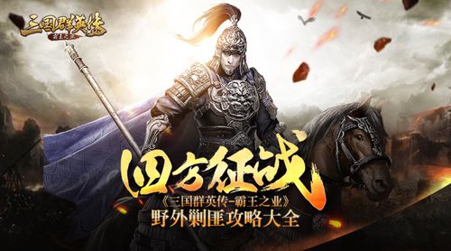 霸王雄心礼包码怎么用