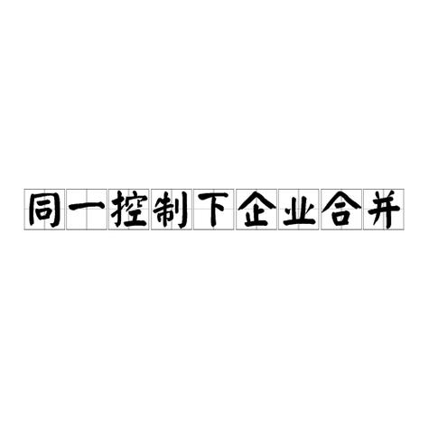 同一控制下业务合并