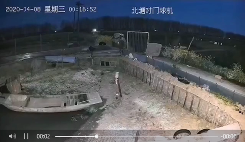 黑白录像能变彩色的