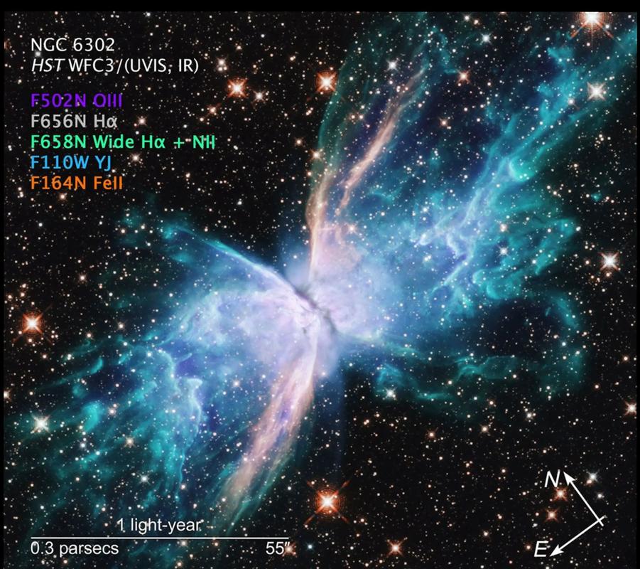 2026年满星云最新情况