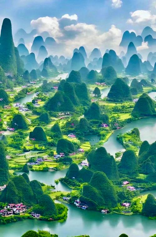 广西移动和掌桂是什么