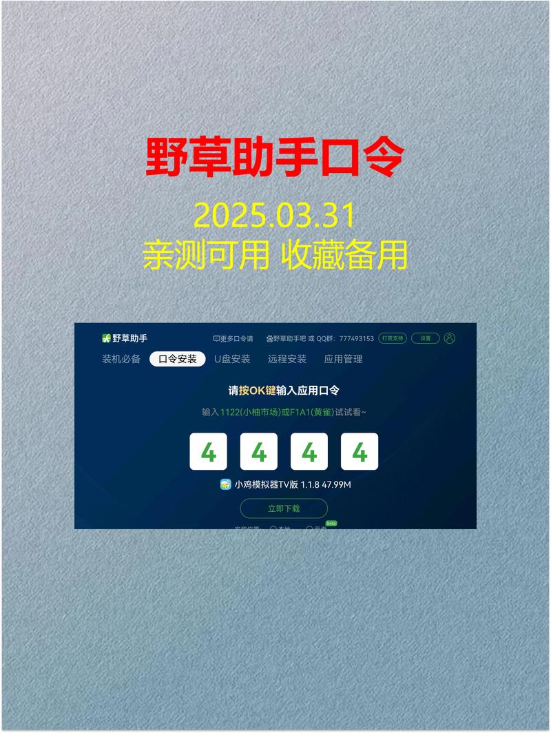 支付口令怎么使用