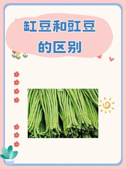 烧菜的拼音