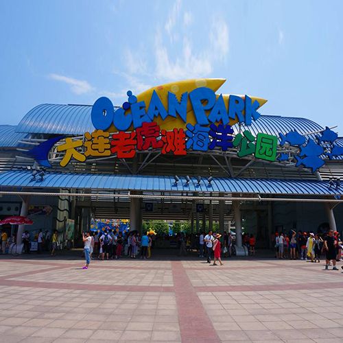 老虎游旅行社网站游戏截图