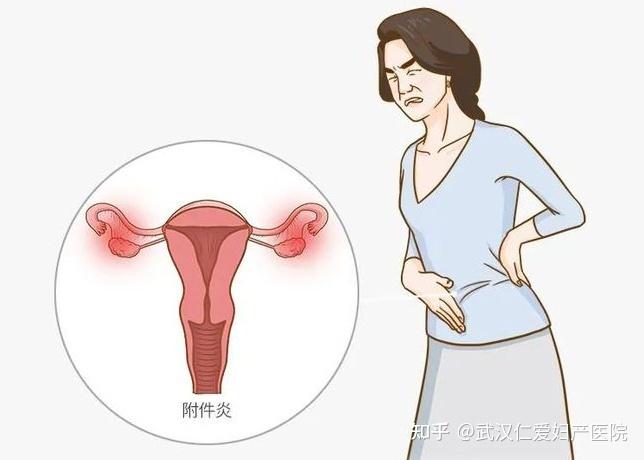 邮箱附件点击下载后无反应
