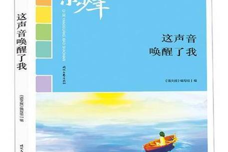 怎么让扬声器发出声音游戏截图