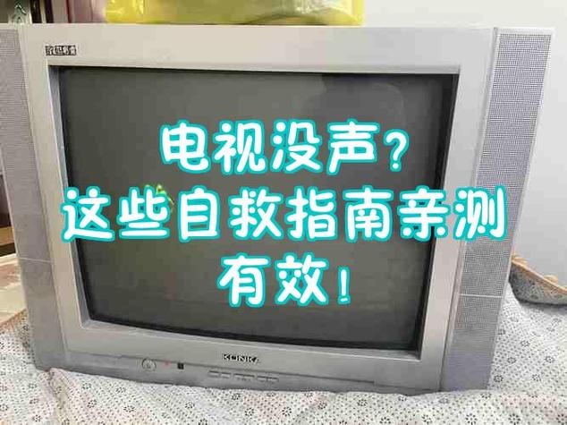 电视上有个音量的图标怎么办游戏截图
