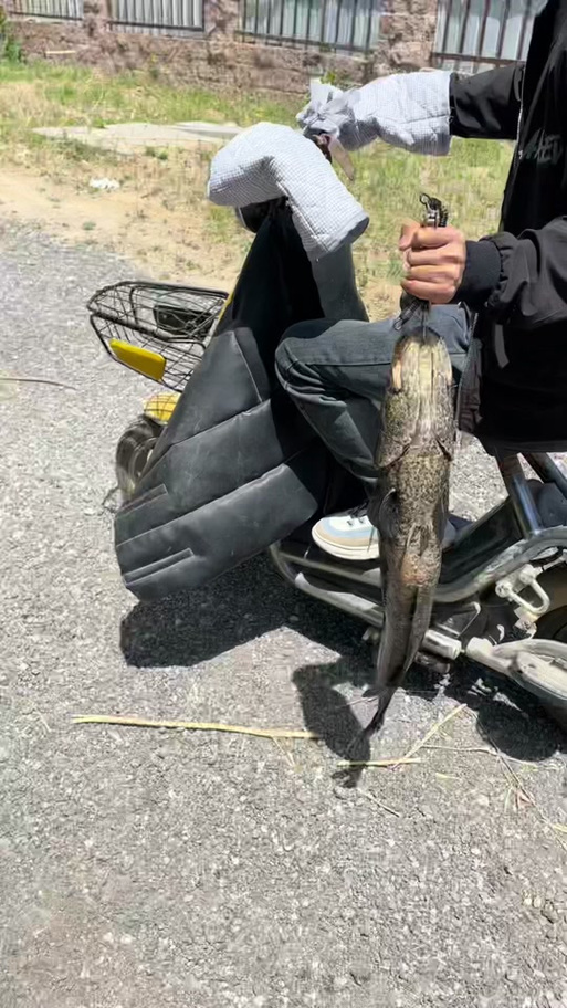 向导巫毒鱼怎么钓图标