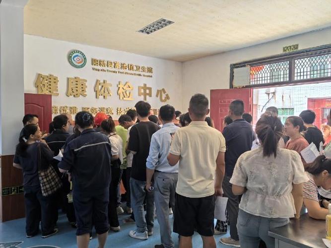 初性体检5图标