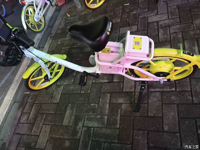 街兔2元可以骑多久游戏截图