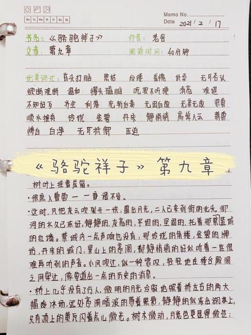 骆驼祥子阅读章节游戏截图