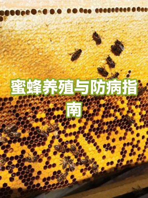 蜜蜂带病毒吗
