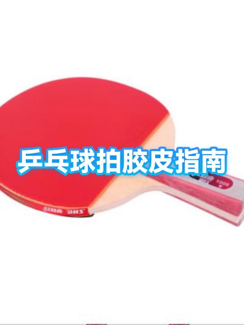 乒乓球胶皮挺拔k2怎么样图标