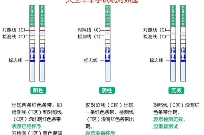 受孕成功和快来例假的区别缩略图
