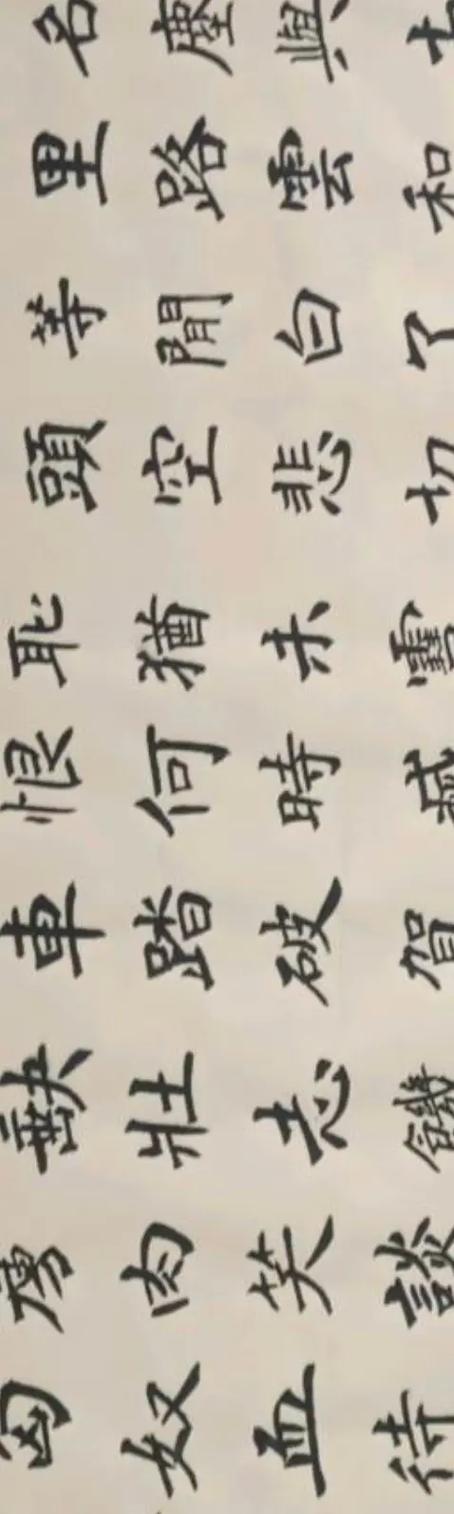 毛诗词《满江红》